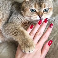 МАНИКЮР: ИДЕИ И ТРЕНДЫ 💅