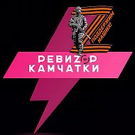 Канал РЕВИZOP КАМЧАТКИ в мессенджере MAX