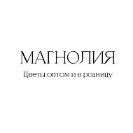 ЦВЕТЫ МАГНОЛИЯ