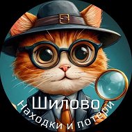 Находки и потери в Шилово (Воронеж)