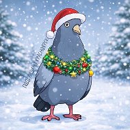 Подслушано Красноярск