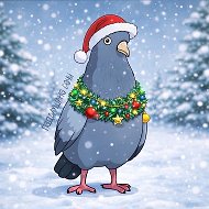 Подслушано Сочи