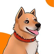 CHINDOCAR - Автомобили под заказ из Кореи