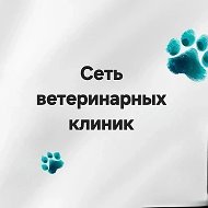 ВЦ "Море" 🐾 Центр Здоровья Животных