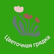 Цветочная грядка. Цветы, рассада