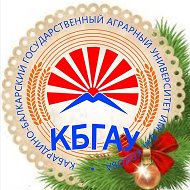 Канал Кабардино-Балкарский ГАУ в мессенджере MAX