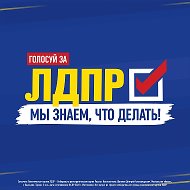 ЛДПР Новгородская область