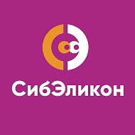 СибЭликон - сеть магазинов бытовой техники