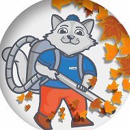 КОТ НОВОСТИ
