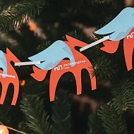 Росмолодёжь.Профи