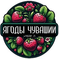 Ягоды Чувашии 🍓 Агроблог | Клубника | Рассада | Чебоксары