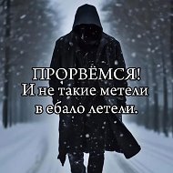 Питерский дилетант