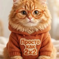 Жидкий наполнитель Просто как 2х2