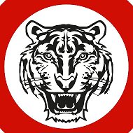 TIGRIS | единоборства | турниры