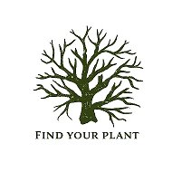 Find Your Plant - Найди своё растение