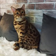 Клепиковская райветстанция