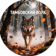 Тамбовский волк 🐺