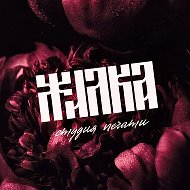 Жилка Маркетинг | соцсети • типография • съемки