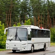 Новости 371 🚌