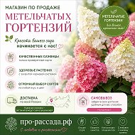 Про Рассада