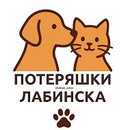 Потеряшки Лабинск