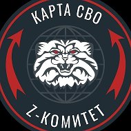 Z комитет + карта СВО