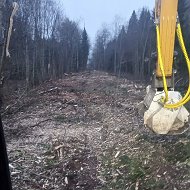 Расчистка участков, борьба с борщевиком, демонтаж