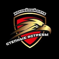 СТЕПНЫЕ ЯСТРЕБЫ || БУЗУЛУК