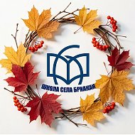 МБОУ СОШ Бриаканского сельского поселения