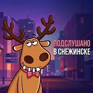 Подслушано в Снежинске