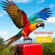 Попугай Тревел