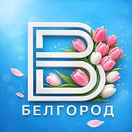 Вести Белгород