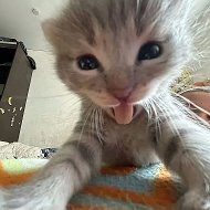 КОРОЧЕ