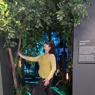 Екатерина Арх Рассказы