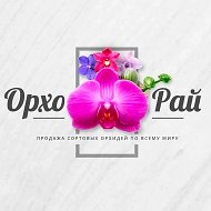 Канал магазина ОрхоРай