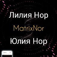 ☯️ MatrixNor ☯️