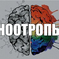 МУХОМОРЫ АЛТАЯ  БИОХАКИНГ ПСИХОСОМАТИКА