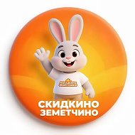 Скидкино Земетчино