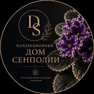 Дом Коллекционной Фиалки | Питомник фиалок "Хромыхи"