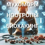 Мухоморы Ноотропы Биохакинг