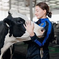 Увлекательные коровы 🐄