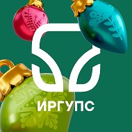 Канал ИрГУПС | Университет путей сообщения в мессенджере MAX