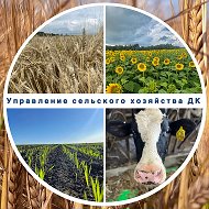 Управление сельского хозяйства ДК