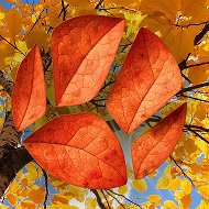 Канал Живая Планета в мессенджере MAX