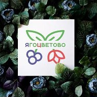 Ягоцветово. Цветы и цветочная рассада. Тюмень