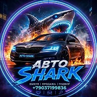 Авто-акулы