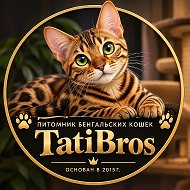 𝐓𝐚𝐭𝐢𝐁𝐫𝐨'𝐬 питомник кошек бенгальской породы ТатиБро