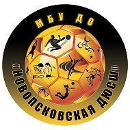 МБУ ДО "Новопсковская ДЮСШ"