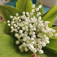 Совет СП Отрадинский сельсовет