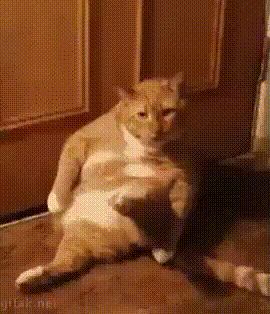 Когда понимаешь, что пора на диету😂
